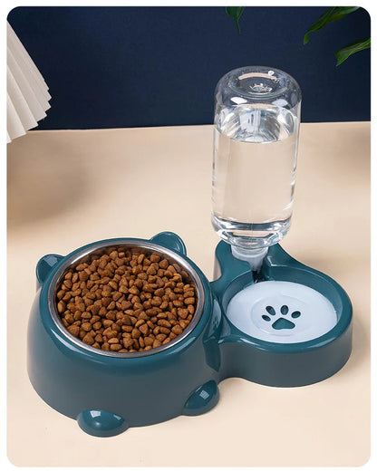 2-in-1 Tilted Pet Bowl Feeder