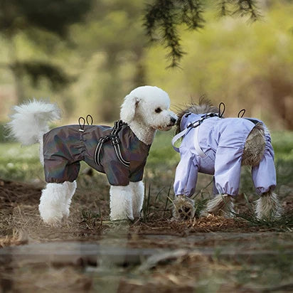 Waterproof Dog Raincoat with Harness