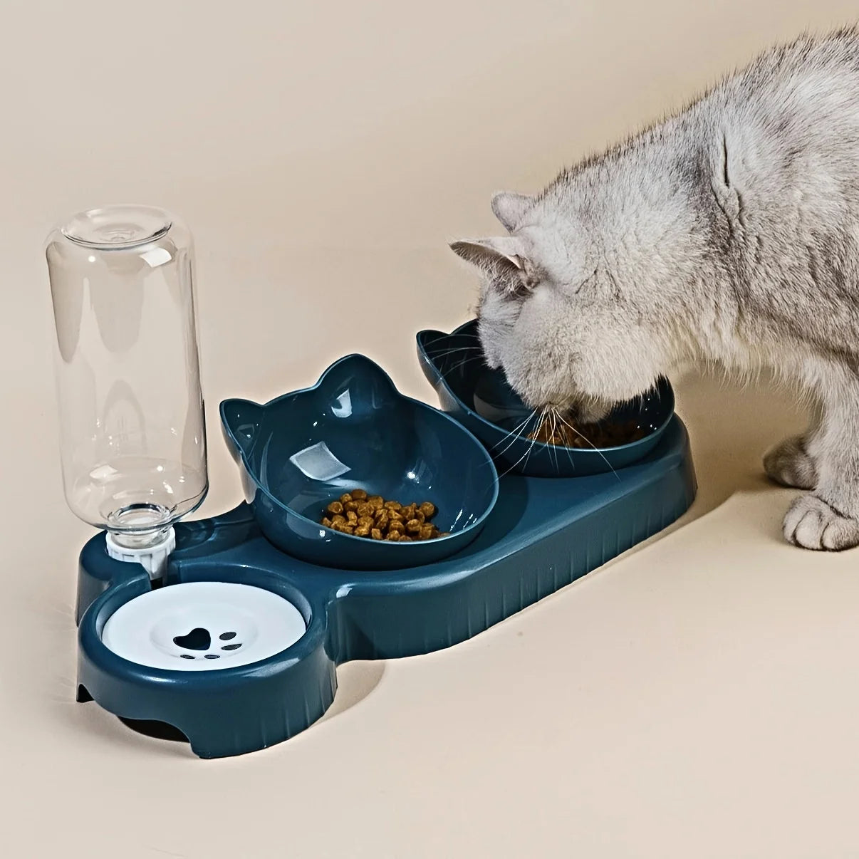 3-in-1 Tilted Pet Bowl Set