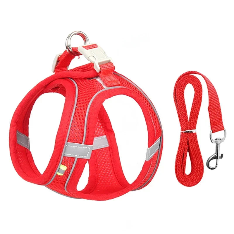 Adjustable Puppy Harness Set