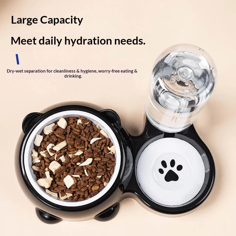 2-in-1 Tilted Pet Bowl Feeder