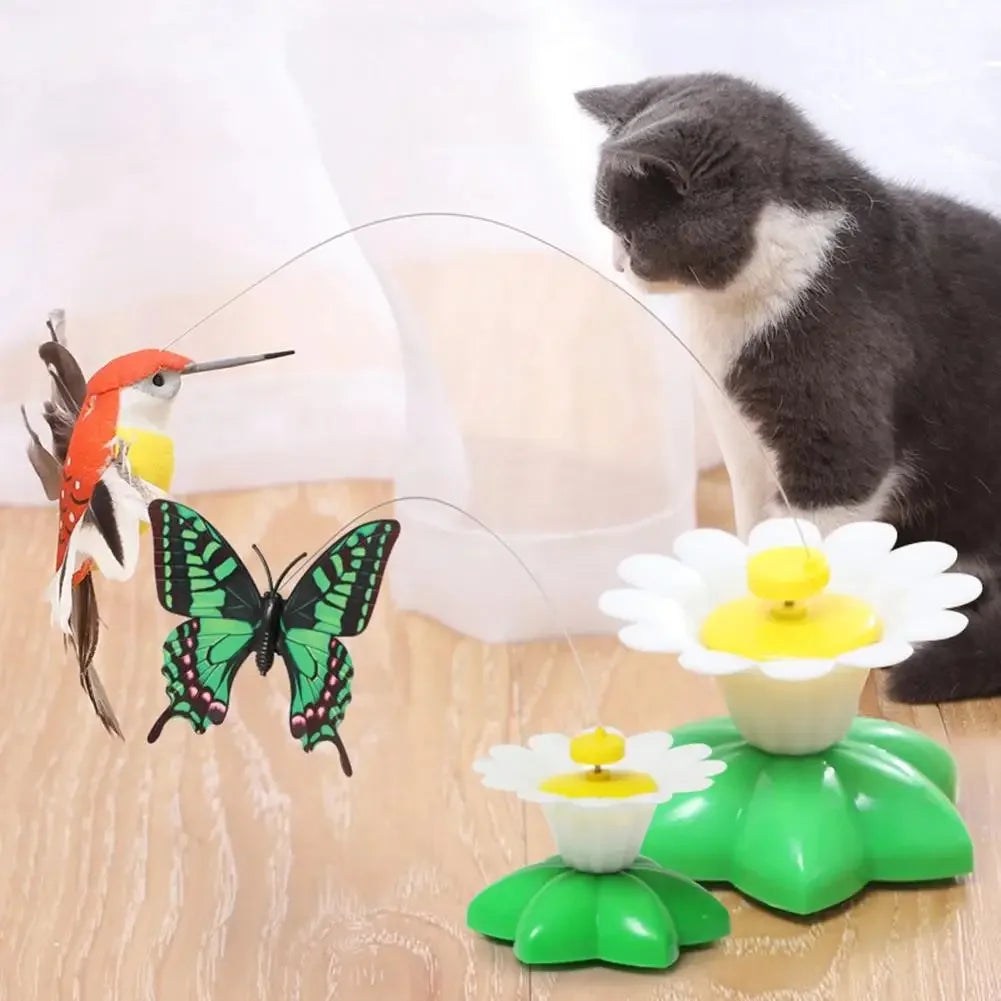 Electric Butterfly Cat Toy