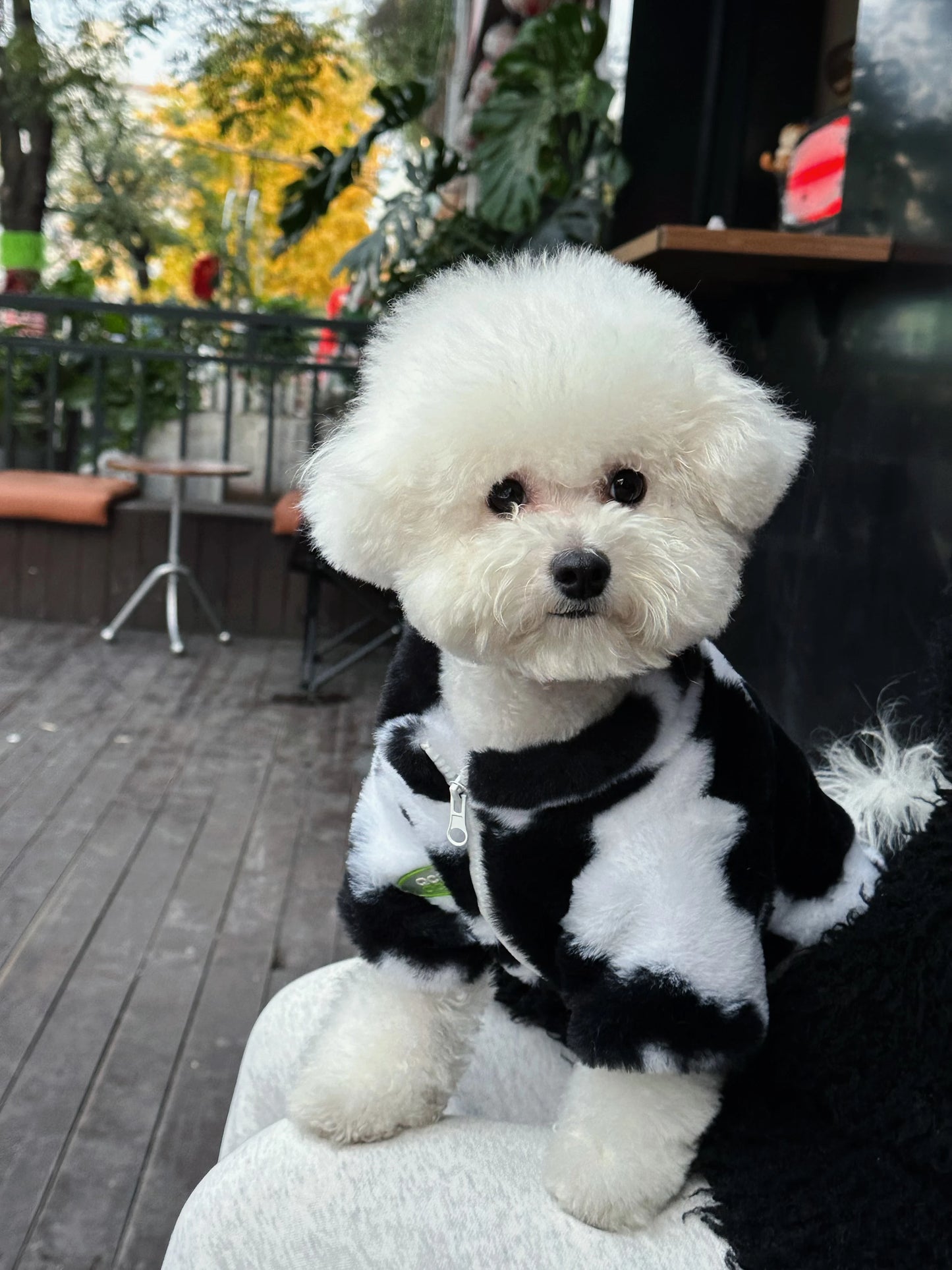 Warm Thickened Pet Fur Coat
