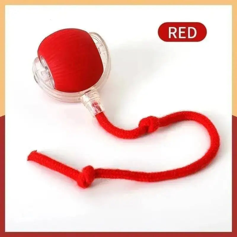 Automatic Moving Smart Pet Ball – USB Rechargeable Interactive Toy
