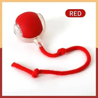 Automatic Moving Smart Pet Ball – USB Rechargeable Interactive Toy