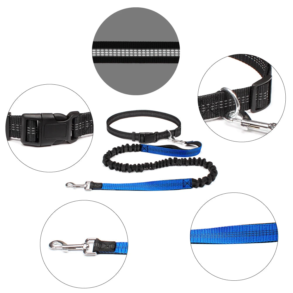 Hands Free Dog Waist Leash