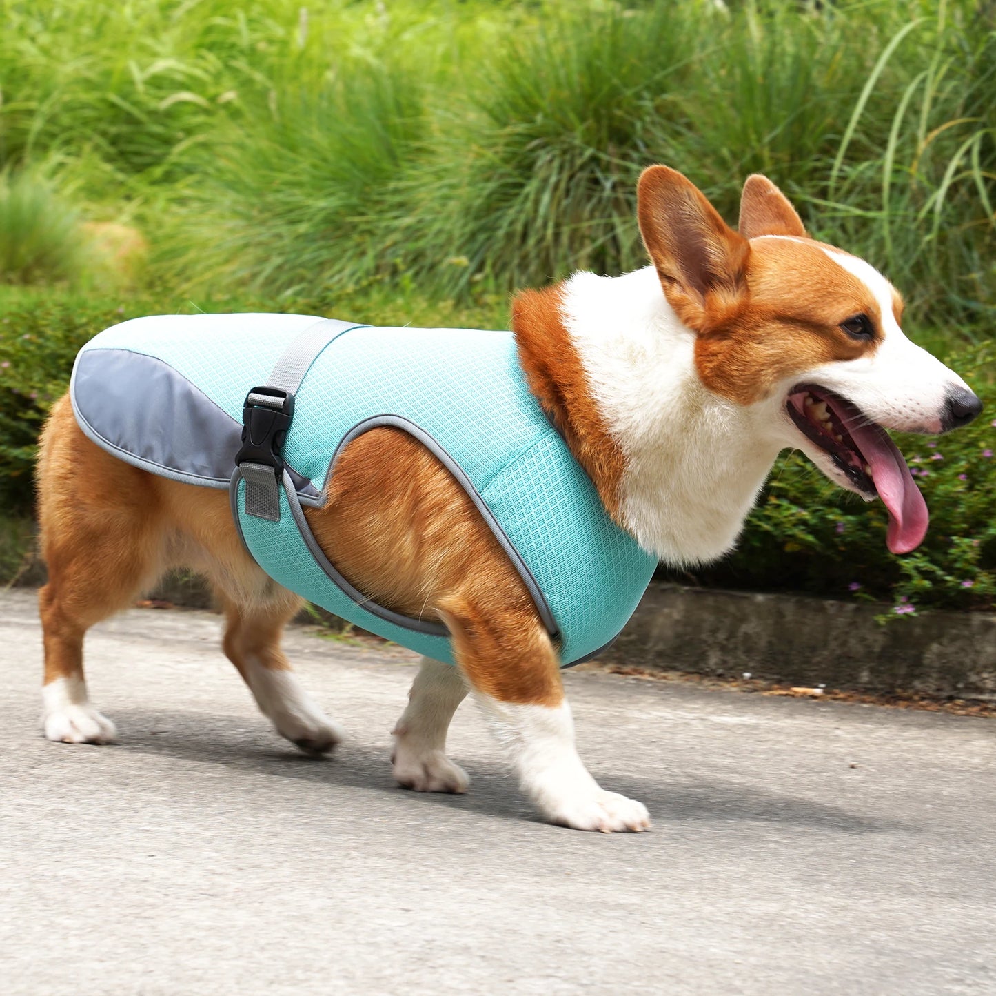 Cooling Dog Vest