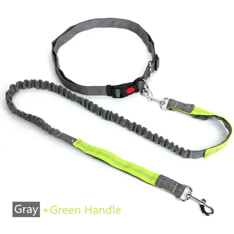 Retractable Hands-Free Dog Leash