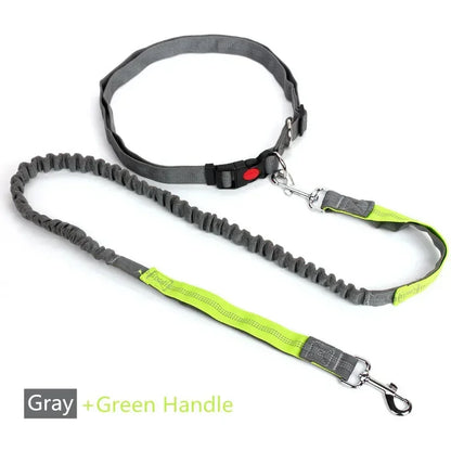 Retractable Hands-Free Dog Leash