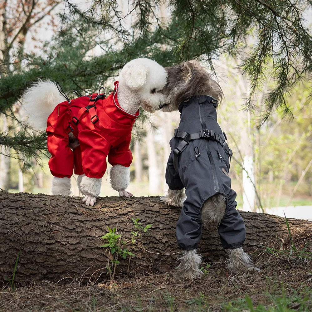 Waterproof Dog Raincoat with Harness