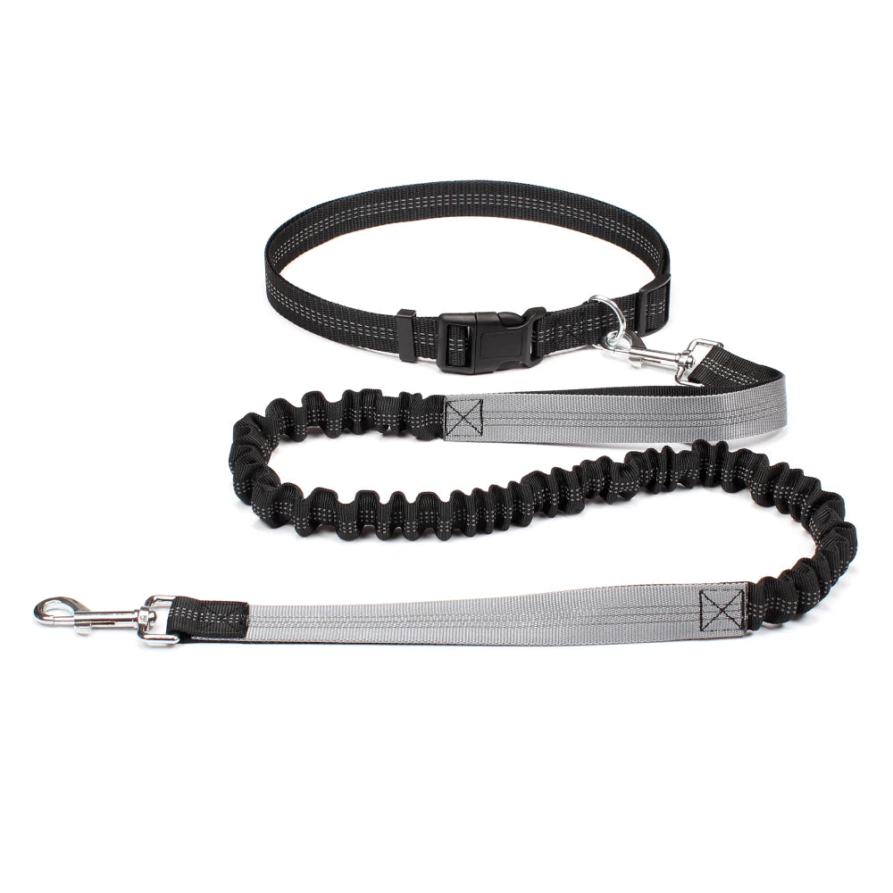 Hands Free Dog Waist Leash