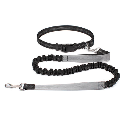 Hands Free Dog Waist Leash