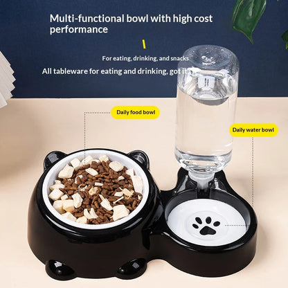 2-in-1 Tilted Pet Bowl Feeder