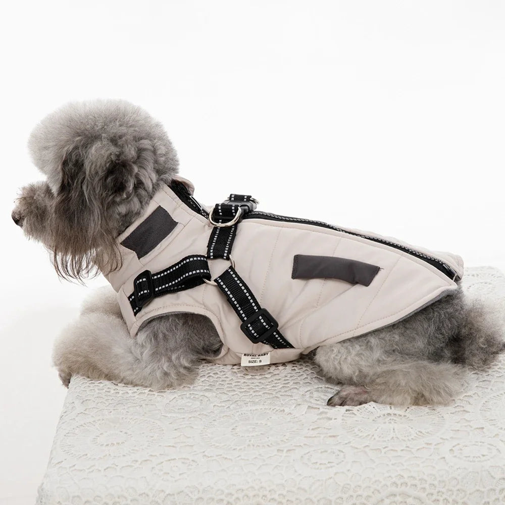 Dog Windbreaker Jacket with Harness