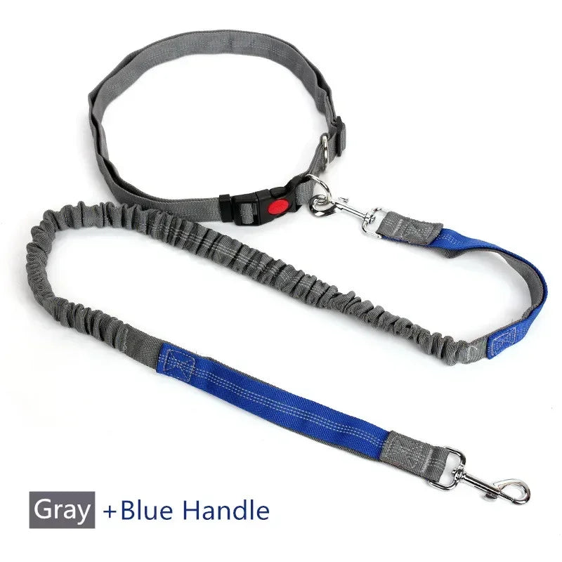 Retractable Hands-Free Dog Leash