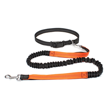 Hands Free Dog Waist Leash