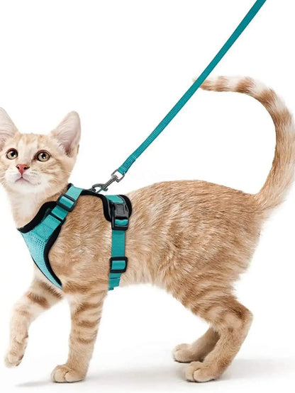 Escape-Proof Cat Harness & Leash