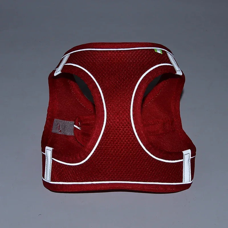 Adjustable Puppy Harness Set