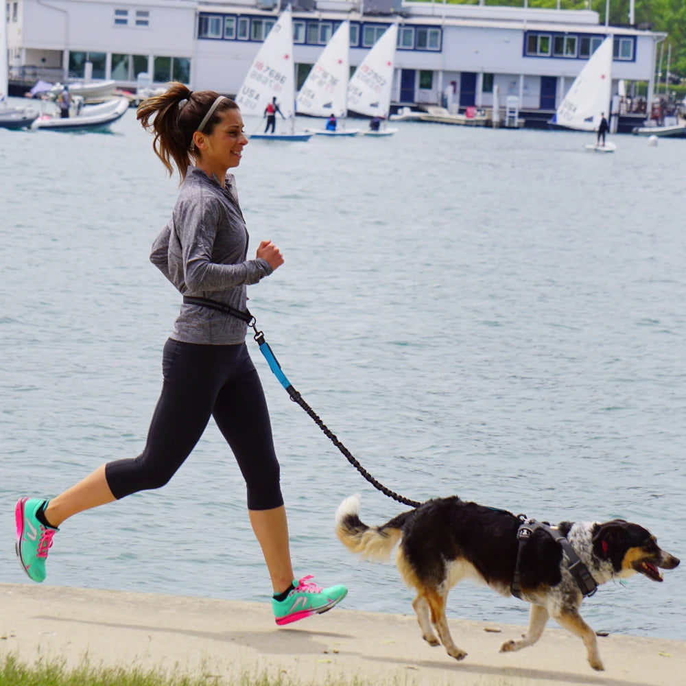 Hands Free Dog Waist Leash