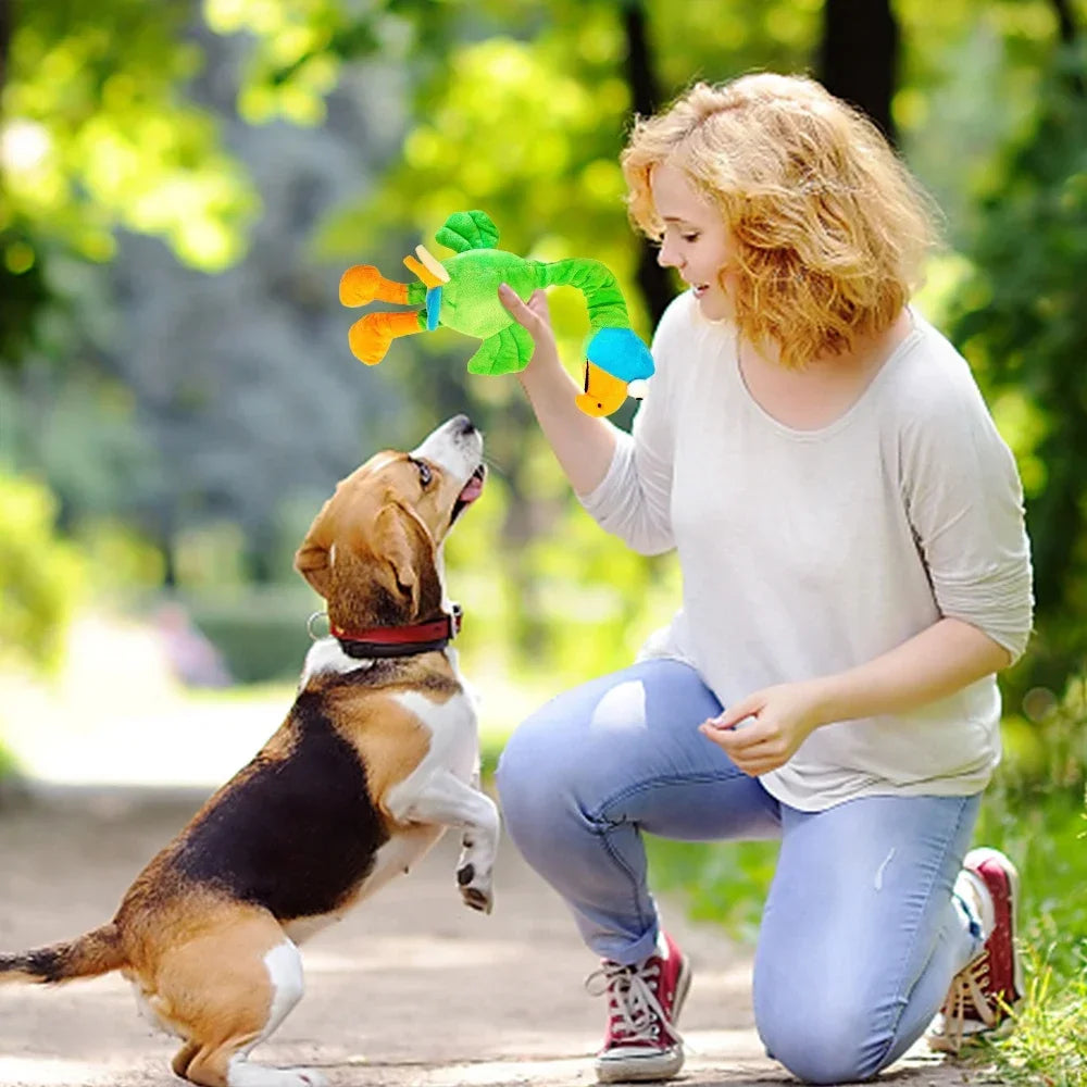 Screaming Chicken Dog Toy