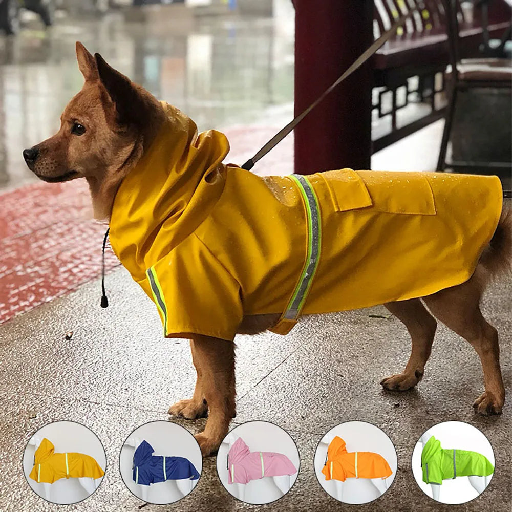 Dog Raincoat with Hood