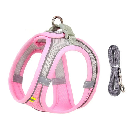 Adjustable Puppy Harness Set