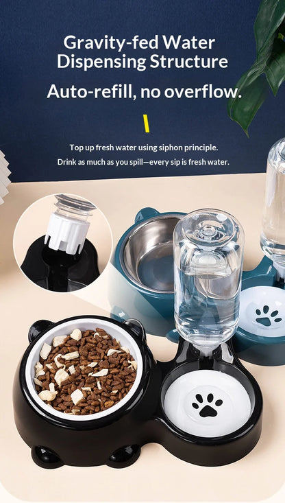 2-in-1 Tilted Pet Bowl Feeder
