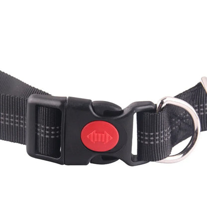Retractable Hands-Free Dog Leash