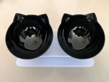 Non-Slip Double Pet Bowl with Stand