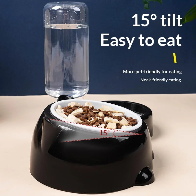 2-in-1 Tilted Pet Bowl Feeder