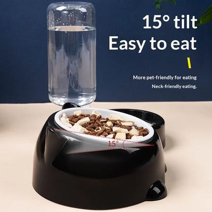 2-in-1 Tilted Pet Bowl Feeder