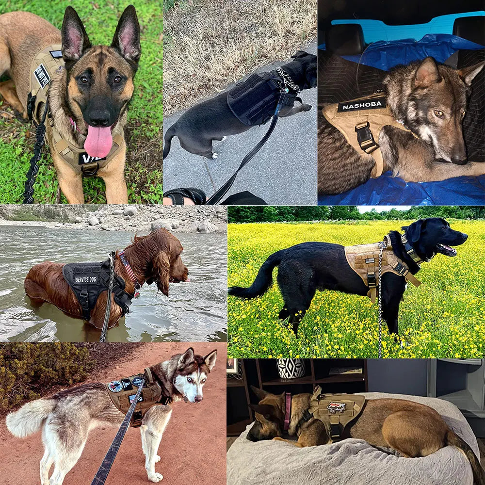 No-Pull Military Tactical Dog Harness with Handle (Leash Included)