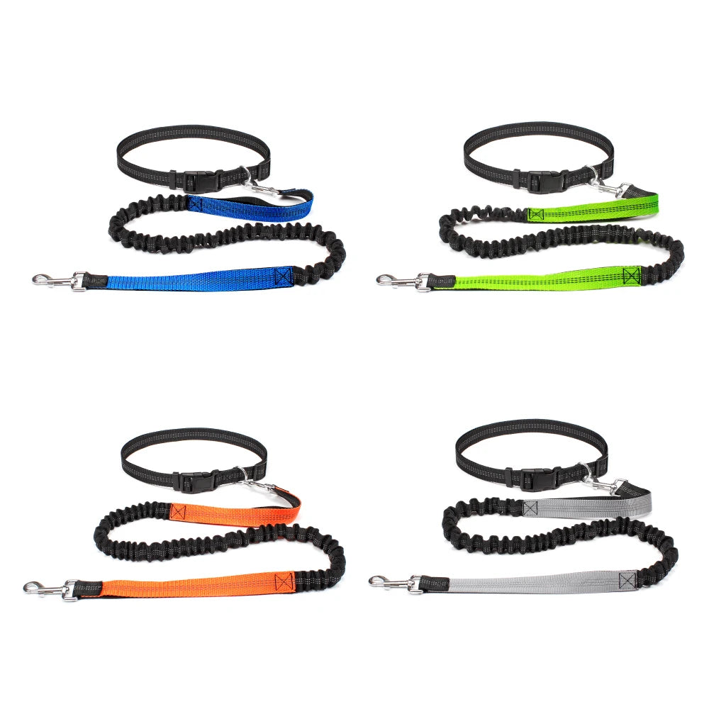 Hands Free Dog Waist Leash