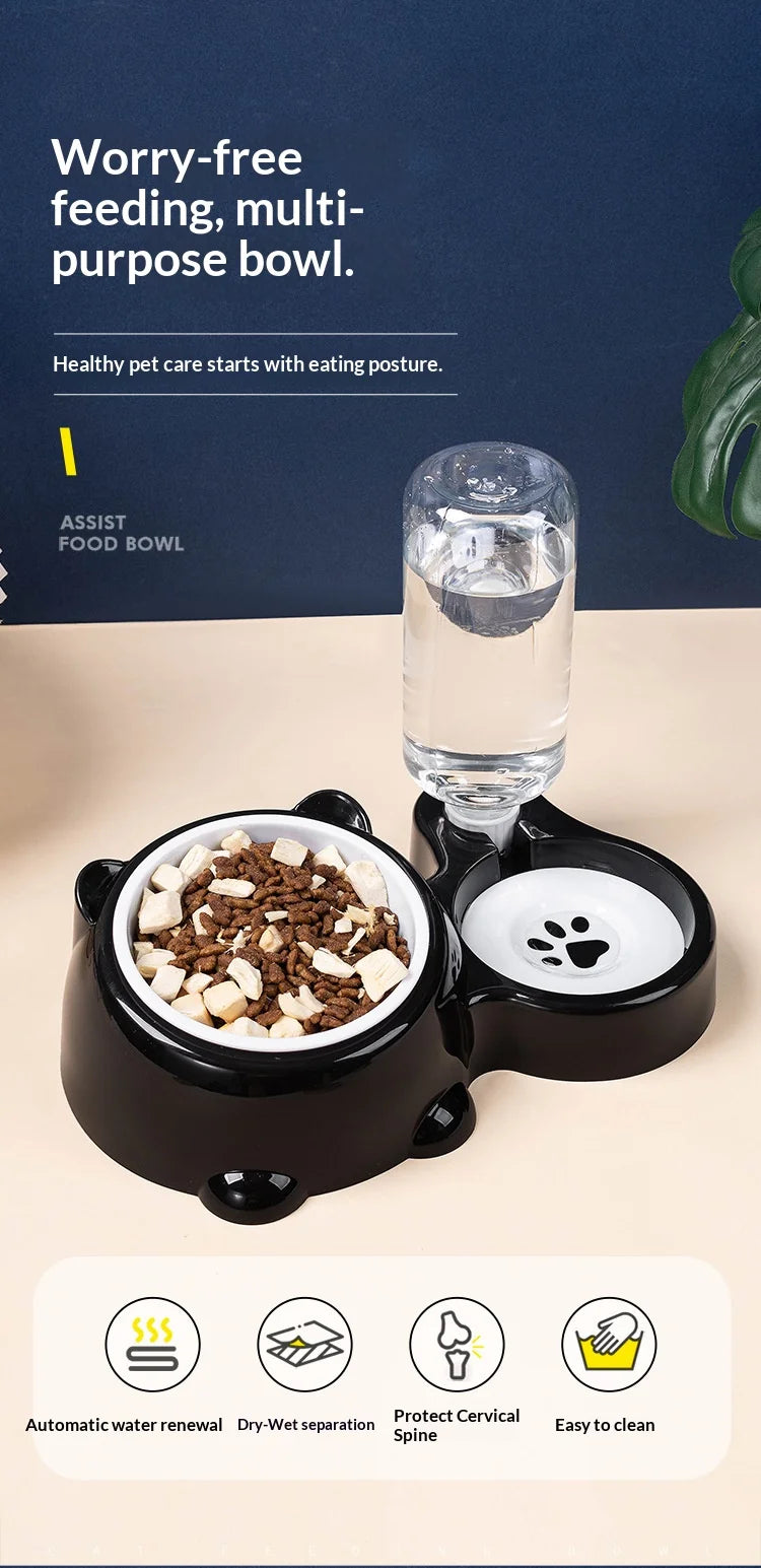 2-in-1 Tilted Pet Bowl Feeder