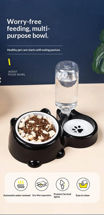 2-in-1 Tilted Pet Bowl Feeder