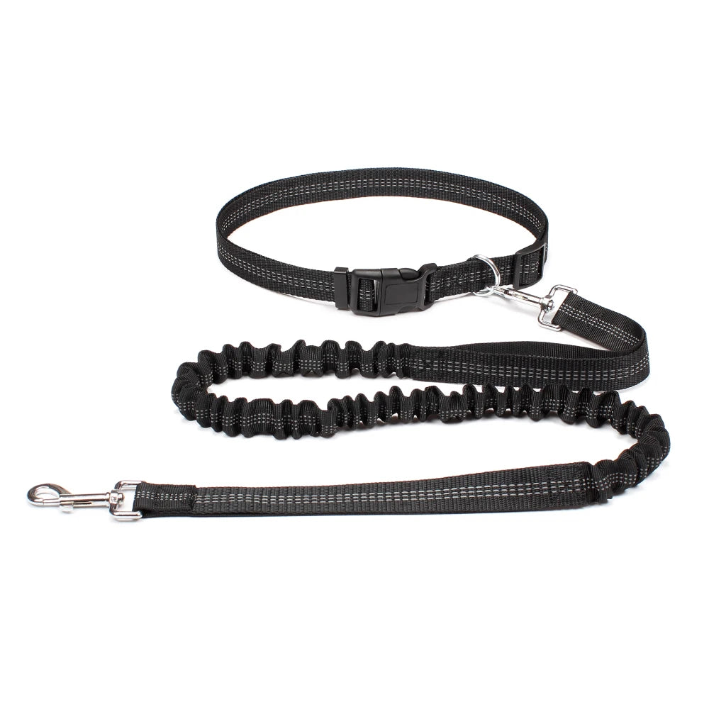 Hands Free Dog Waist Leash