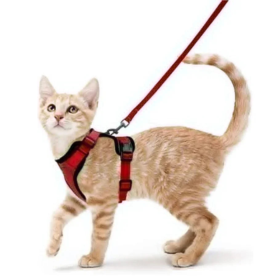 Escape-Proof Cat Harness & Leash