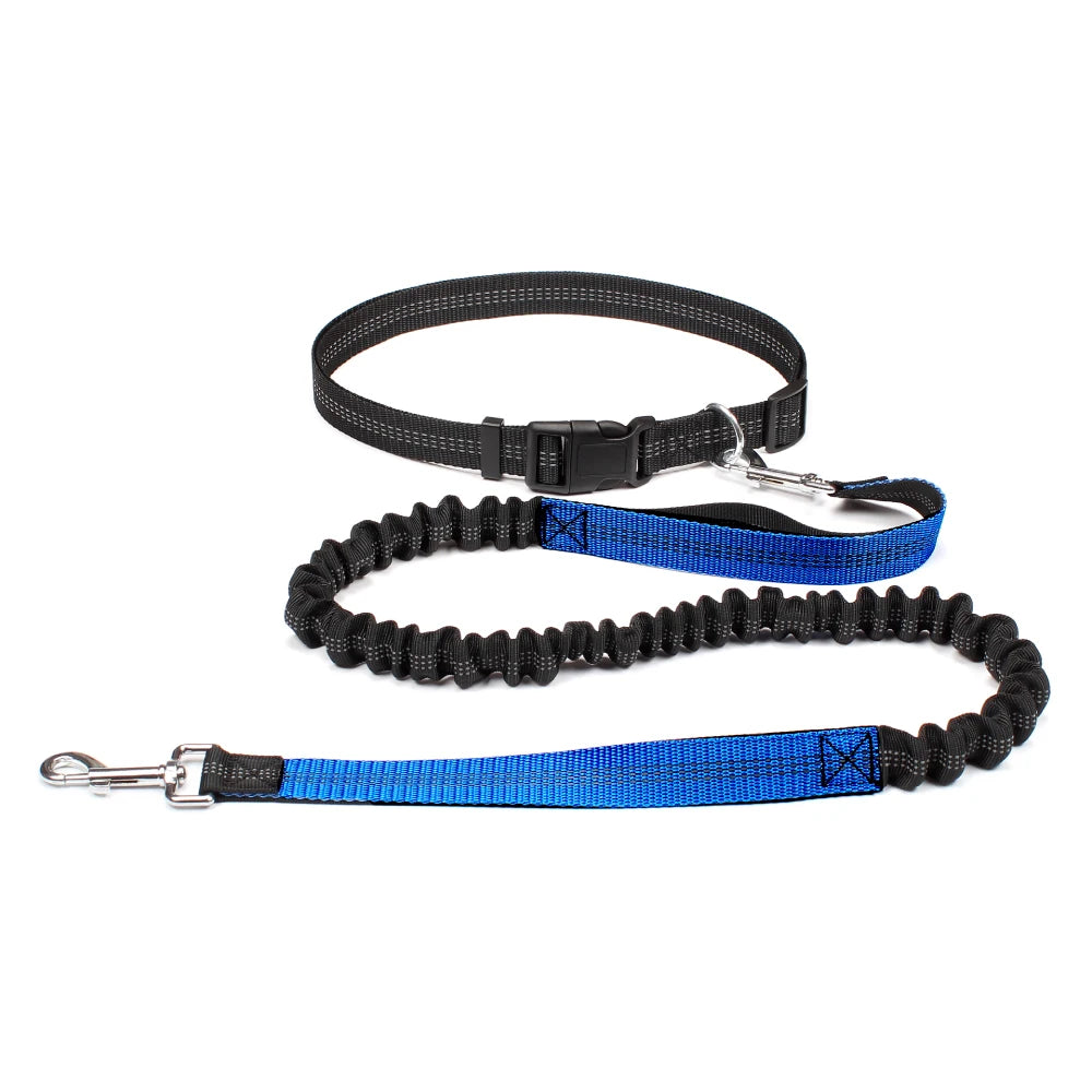 Hands Free Dog Waist Leash