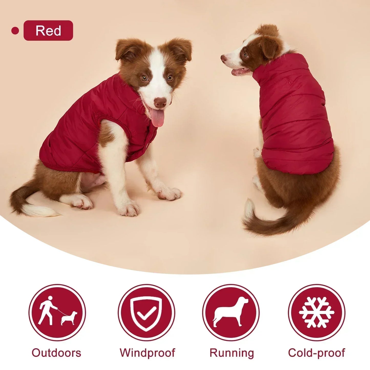 Winter Dog Jacket with Fleece Lining