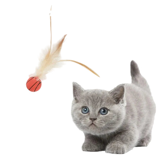 Bouncy Feather Cat Toy Ball